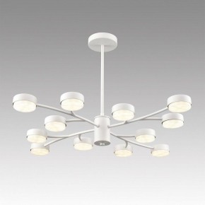Люстра на штанге Lumion TORINA 8265/12 в Покачах - pokachi.ok-mebel.com | фото 3