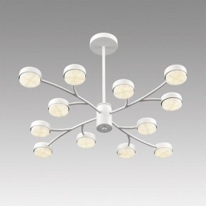 Люстра на штанге Lumion TORINA 8265/12 в Покачах - pokachi.ok-mebel.com | фото 5