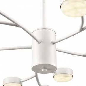 Люстра на штанге Lumion TORINA 8265/15 в Покачах - pokachi.ok-mebel.com | фото 8