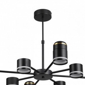 Люстра на штанге Lumion Virsava 8234/8C в Покачах - pokachi.ok-mebel.com | фото 5