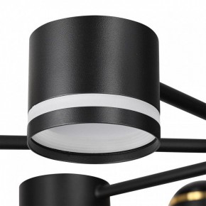 Люстра на штанге Lumion Virsava 8234/8C в Покачах - pokachi.ok-mebel.com | фото 8