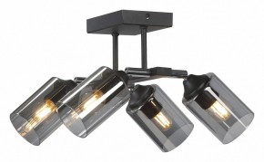 Люстра на штанге Vitaluce V2833 V2833-1/4PL в Покачах - pokachi.ok-mebel.com | фото