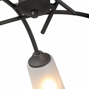 Люстра на штанге Vitaluce V2850 V2850-1/5PL в Покачах - pokachi.ok-mebel.com | фото 6