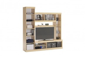 МАКСИ Мини-стенка дуб сонома/белое дерево в Покачах - pokachi.ok-mebel.com | фото 1