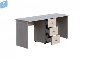 Мийа-3 Стол (исп. СТ-014, письменный 2-х местный) в Покачах - pokachi.ok-mebel.com | фото 2