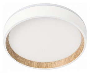 Накладной светильник Citilux Etalon CL750180 в Покачах - pokachi.ok-mebel.com | фото