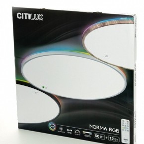 Накладной светильник Citilux NORMA CL749600 в Покачах - pokachi.ok-mebel.com | фото 8