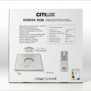 Накладной светильник Citilux Norma CL749K400 в Покачах - pokachi.ok-mebel.com | фото 17