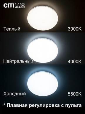 Накладной светильник Citilux Симпла CL714330G в Покачах - pokachi.ok-mebel.com | фото 4