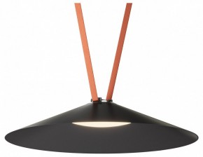 Накладной светильник Denkirs Belty Flow DK5569-BK в Покачах - pokachi.ok-mebel.com | фото 2