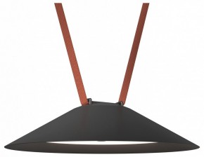 Накладной светильник Denkirs Belty Flow DK5664-BK в Покачах - pokachi.ok-mebel.com | фото