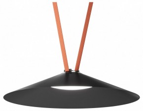 Накладной светильник Denkirs Belty Flow DK5668-BK в Покачах - pokachi.ok-mebel.com | фото