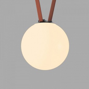 Накладной светильник Denkirs Belty Orb DK5555-BK в Покачах - pokachi.ok-mebel.com | фото 2