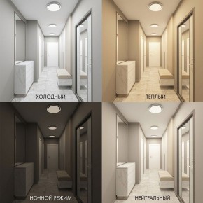 Накладной светильник Denkirs Cany DK6516-WH в Покачах - pokachi.ok-mebel.com | фото 2