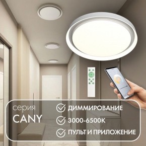 Накладной светильник Denkirs Cany DK6516-WH в Покачах - pokachi.ok-mebel.com | фото 4