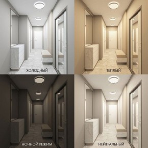 Накладной светильник Denkirs PLATO DK6510-WH в Покачах - pokachi.ok-mebel.com | фото 2
