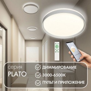 Накладной светильник Denkirs PLATO DK6511-WH/1 в Покачах - pokachi.ok-mebel.com | фото 4