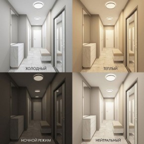 Накладной светильник Denkirs PLATO DK6511-WH/1 в Покачах - pokachi.ok-mebel.com | фото 5