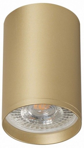 Накладной светильник Denkirs Tube DK2050-SG в Покачах - pokachi.ok-mebel.com | фото