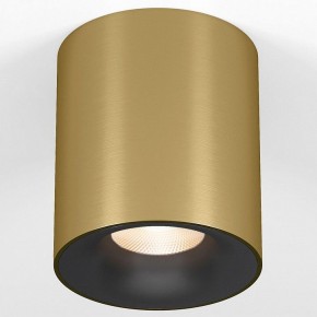 Накладной светильник Elektrostandard Primo 25116/LED в Покачах - pokachi.ok-mebel.com | фото