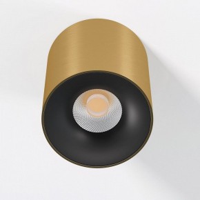 Накладной светильник Elektrostandard Primo 25116/LED в Покачах - pokachi.ok-mebel.com | фото