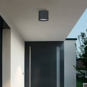 Накладной светильник Favourite Fantum 4663-1U в Покачах - pokachi.ok-mebel.com | фото 3