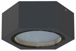 Накладной светильник Favourite Fantum 4667-1U в Покачах - pokachi.ok-mebel.com | фото