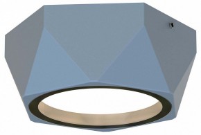 Накладной светильник Favourite Fantum 4669-1U в Покачах - pokachi.ok-mebel.com | фото