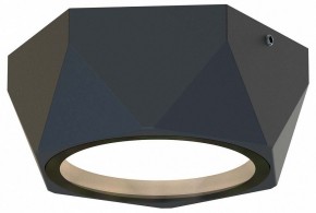 Накладной светильник Favourite Fantum 4670-1U в Покачах - pokachi.ok-mebel.com | фото