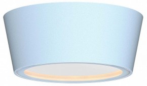 Накладной светильник Favourite Fantum 4676-1U в Покачах - pokachi.ok-mebel.com | фото