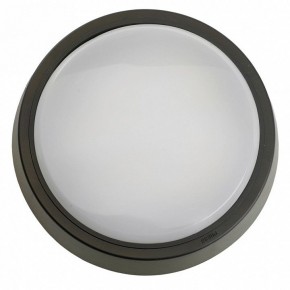 Накладной светильник Feron AL3020 51474 в Покачах - pokachi.ok-mebel.com | фото 4