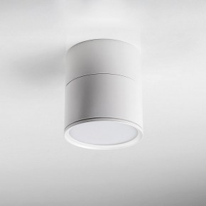 Накладной светильник Lightstar Acuto 215886 в Покачах - pokachi.ok-mebel.com | фото 3