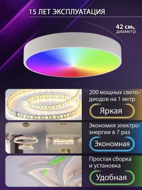 Накладной светильник Natali Kovaltseva MODERN LED LAMPS 81105/1C в Покачах - pokachi.ok-mebel.com | фото 6