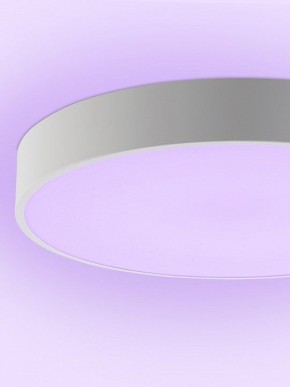 Накладной светильник Natali Kovaltseva MODERN LED LAMPS 81105/1C в Покачах - pokachi.ok-mebel.com | фото 9