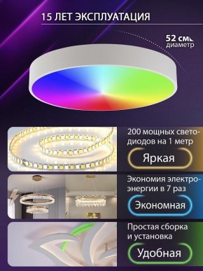 Накладной светильник Natali Kovaltseva MODERN LED LAMPS 81105/2C в Покачах - pokachi.ok-mebel.com | фото 6