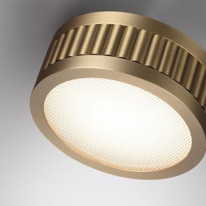 Накладной светильник Odeon Light Manchester 7013/7CL в Покачах - pokachi.ok-mebel.com | фото 5