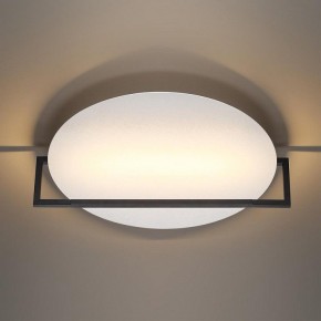 Накладной светильник Odeon Light Next 7015/20WL в Покачах - pokachi.ok-mebel.com | фото 2