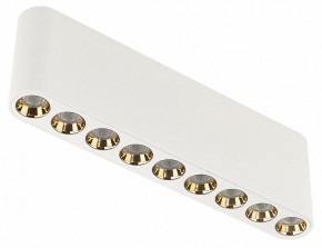 Накладной светильник Odeon Light Small 7091/21CL в Покачах - pokachi.ok-mebel.com | фото