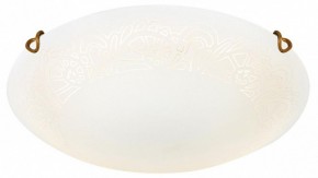 Накладной светильник Sonex Ammonite 7602/DL в Покачах - pokachi.ok-mebel.com | фото 3