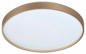 Накладной светильник Sonex Gaby 7783/DL в Покачах - pokachi.ok-mebel.com | фото 6
