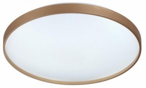 Накладной светильник Sonex Gaby 7783/EL в Покачах - pokachi.ok-mebel.com | фото 4