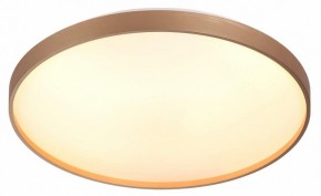 Накладной светильник Sonex Gaby 7783/EL в Покачах - pokachi.ok-mebel.com | фото 5