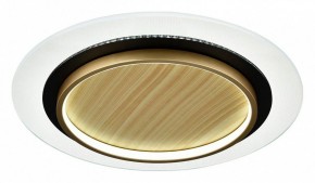 Накладной светильник Sonex Sunny 7731/80L в Покачах - pokachi.ok-mebel.com | фото