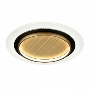 Накладной светильник Sonex Sunny 7731/80L в Покачах - pokachi.ok-mebel.com | фото 4