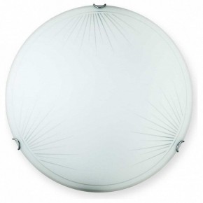 Накладной светильник TopLight Wifa TL9142Y-00WH в Покачах - pokachi.ok-mebel.com | фото
