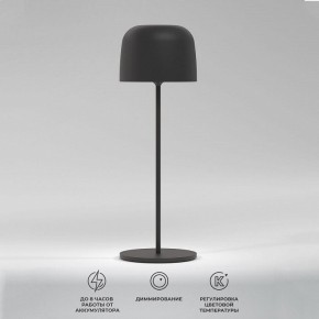 Настольная лампа декоративная Elektrostandard Bitty a069002 в Покачах - pokachi.ok-mebel.com | фото 2