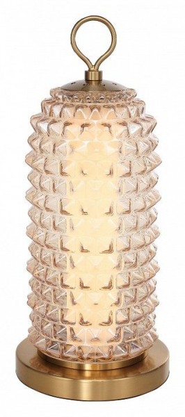 Настольная лампа декоративная ST-Luce SAGUARO SL6144.304.01 в Покачах - pokachi.ok-mebel.com | фото 2