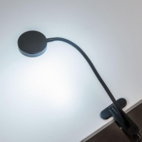 Настольная лампа офисная Citilux Ньютон CL803071N в Покачах - pokachi.ok-mebel.com | фото 4