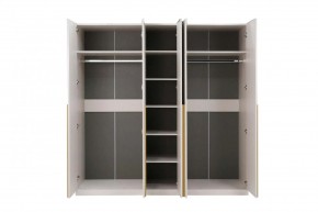 НИКОЛЬ 25 Шкаф 5-ти створчатый в Покачах - pokachi.ok-mebel.com | фото 3