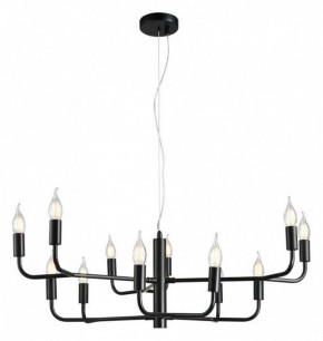 Подвесная люстра Aployt Evlalia APL.338.13.12 в Покачах - pokachi.ok-mebel.com | фото 2